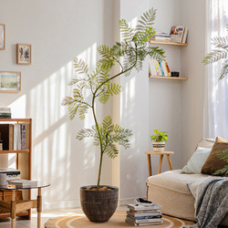 High-End Light Luxury Jacaranda Artificial Green Plant Indoor Living Room Decorative Flower Bionic Plant Floor-Standing Potted Fake Tree Ornament