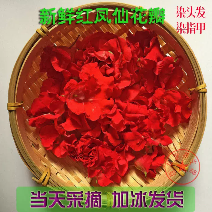 红凤仙花新鲜染指甲花干花瓣种子凤仙花粉纯天然