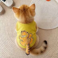 Cat Clothes Spring and Summer Thin Style Cute 3D Garfield Cat Tail Vest Ragdoll Blue Cat Kitten Small Dog Clothing