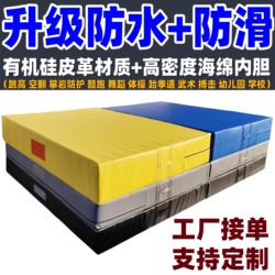 Waterproof and Non-Slip Somersault High Jump Sponge Mat, Sports Anti-Fall Gymnastics Dance Taekwondo Protective Rock Climbing Martial Arts Mat