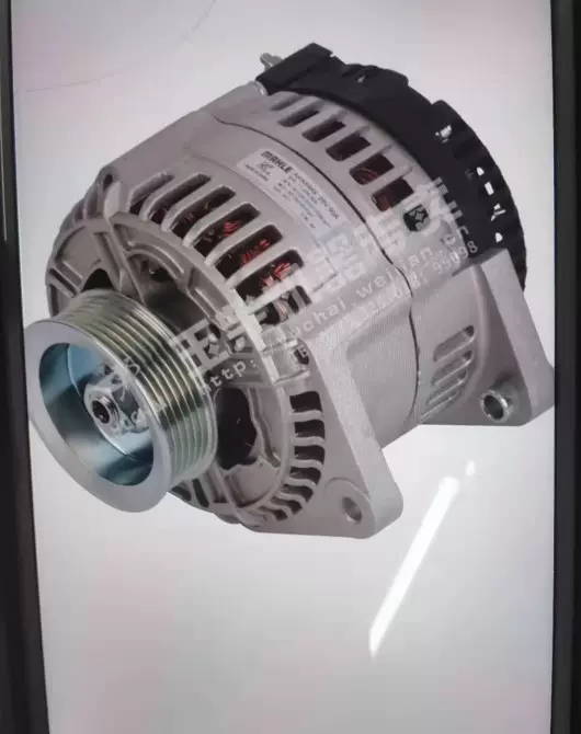 中国　雲南碁石　未使用 中国 雲南碁石 未使用 中国 雲南碁石 未使用 5亿年前古生物化石