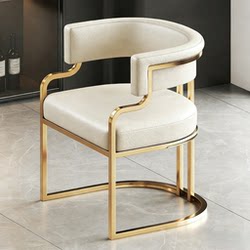 High-End Light Luxury Dining Chair, Beauty Salon Reception Makeup Chair, High-End Single Sofa Chair, Nail Salon Customer-Specific Chair