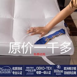 Five-Star Hotel Mattress down Cushion Thickened Tatami Mat Student Dormitory Bed and Breakfast Mattress