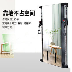 Wall-Mounted Bird Training Device Indoor Small Bird Stand Wall-Mounted Single-Sided Gantry Fitness Home Weight-Bearing