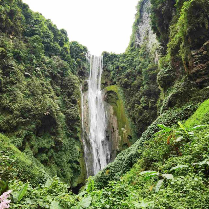 【私家团】广西南宁旅游德天瀑布通灵明仕巴马3天2晚纯玩三日游