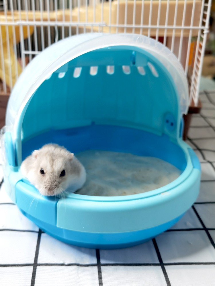 Ufo Hamster Take Out Cage Transparent Portable Ornamental Cage Xishi Photo Inspiration