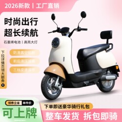 2026 New Model Little Turtle King Adult Electric Scooter 60V Lightweight Electric Bike 72V High-Speed Electric Motorcycle Long-Distance King