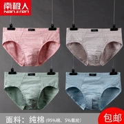 Quần Lót Nam Châm Giá Tốt [Nam Cực] 4 cặp quần đùi nam cotton nguyên chất size lớn trẻ trung kháng khuẩn thoáng khí túi lõm lồi hộp mới giữa eo sịp nam cao cấp quần sịp từ tính tăng sinh lý