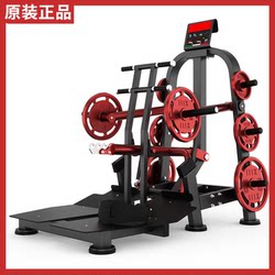 Genuine Dhz Bearded Rhinoceros Squat Belt Squat Trainer Gym Professional Commercial Hip and Leg Fitness Equipment