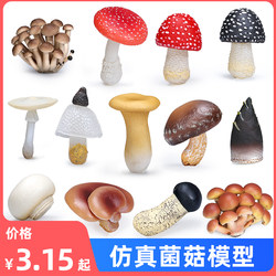 Simulated Wild Mushroom Model, Shiitake Mushroom Toy, Vegetable Matsutake, Bamboo Shoots, Scene DIY Landscaping Ornament, Cognitive Gift