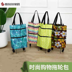 Portable Folding Supermarket Shopping Cart, Large Tote Bag, Elderly Grocery Cart, Small Pull Cart, Grocery Bag with Wheels