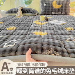 Winter Milk Velvet Fleece Mattress Pad, Soft Cushion for Home Use, Thickened for Dormitory Students, Single Bed Pad, Blanket, Mattress