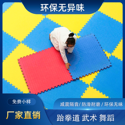 Professional Taekwondo Floor Mat, Sanda Martial Arts Mat, Kindergarten Hip-Hop Dance Taekwondo Mat, 1m Foam Floor Mat, Gym Mat