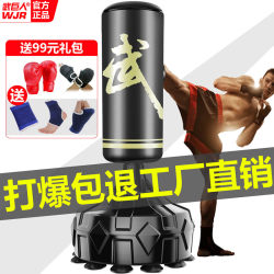 Boxing Punching Bag, Freestanding and Hanging Type, Home-Use, Wobble-Proof Fitness Sandbag, Children's Taekwondo Boxing Training Equipment