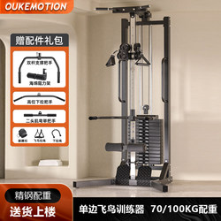 Commercial Gantry Bird Trainer, Home-Use All-In-One Comprehensive Fitness High Pull-Down Pull-Up Machine, Unilateral Training