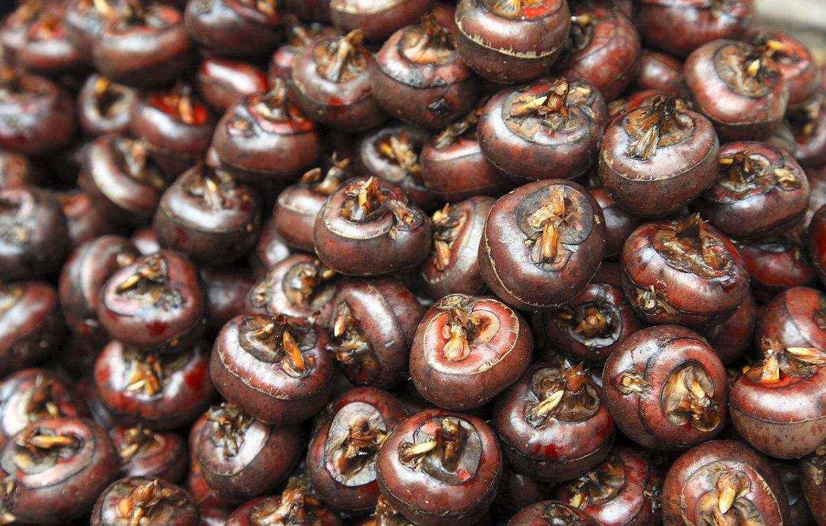 猪肉馅,荸荠(马蹄),生姜葱青菜用料四喜丸子是非常传统的名菜,有的