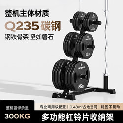 Multi-Functional Small Barbell Rack, Dumbbell Barbell Plate Rack, Storage Rack, Placement Rack, Storage Rack, Olympic Bar Rack for Home Use