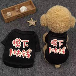 Pet Clothes Sweatshirt Dog Vest Small Dog Spring Autumn Winter Summer Thin Style Bichon Teddy Supplies Puppy Cat