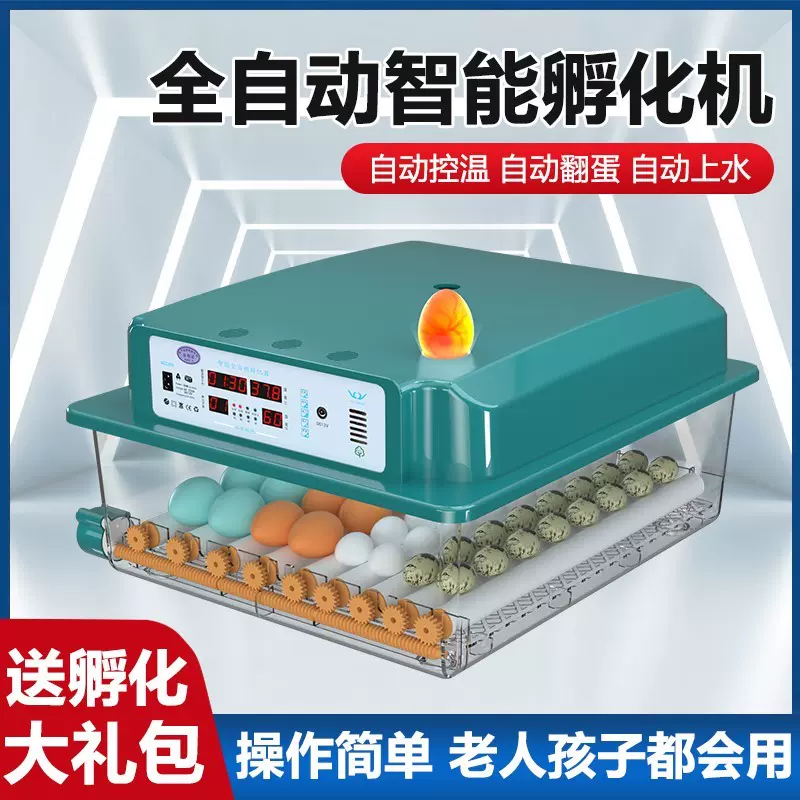 老人专用卵化机电辅小鸡器鹅蛋卵化机抱蛋鸡噗小鸡机器恒温孵化器 