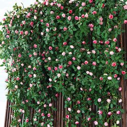 Simulated Rose Rattan Plastic Artificial Flower Vine Plant Air Conditioning Duct Decoration Flower Cover for Ceiling and Wall