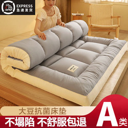 Soy Fiber Mattress Soft Pad for Home Bedroom Mattress Pad Quilt Bed Mattress Student Dormitory Rental Special Floor Mat