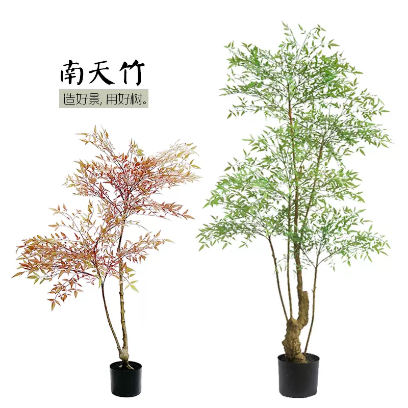 仿真南天竹樹單支藍天竺葉假盆栽茶室內中式禪意