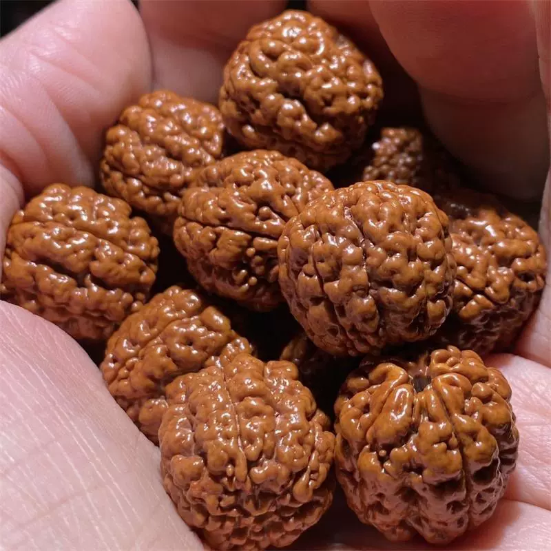 大尺寸2.0碧根果大魔王爆肉金刚菩提子五瓣天然
