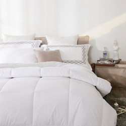 Five-Star Hotel Special Quilt Core Bedding Hotel All-Cotton Air-Conditioning Quilt Feather Velvet Quilt Summer Cooling Quilt Winter