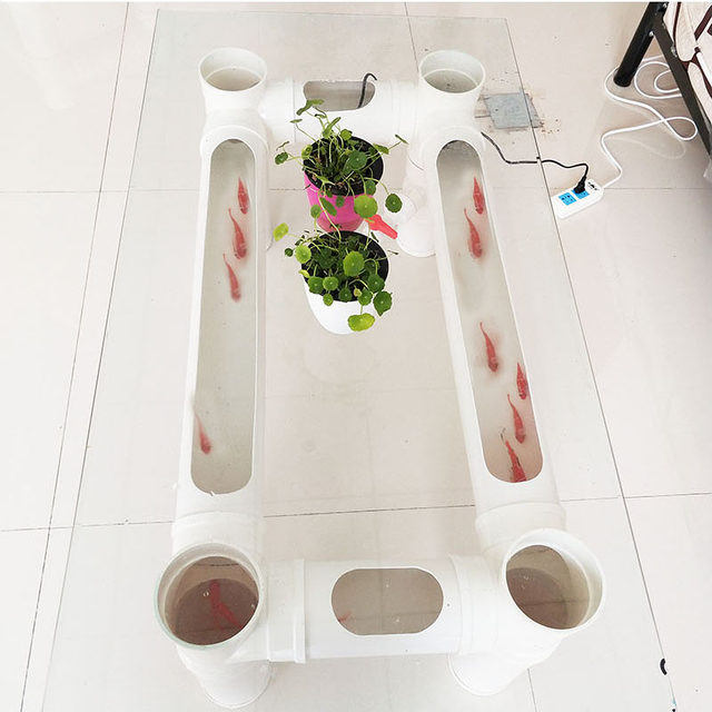 Net red fish farming coffee table pipeline creative fish farming PVC pipe balcony water pipe fish farming tank
