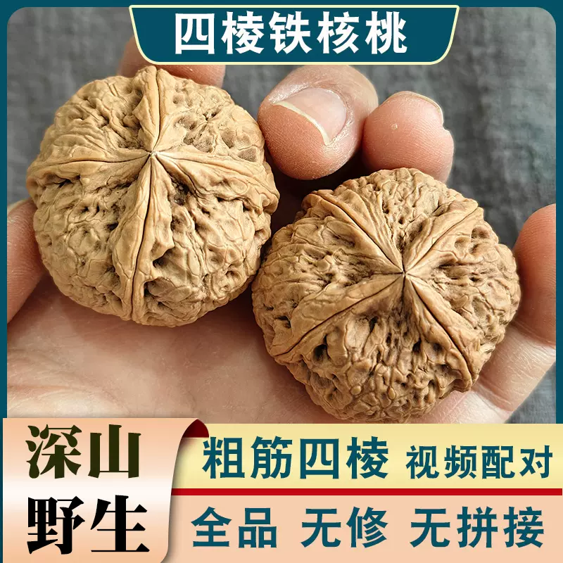 大粗筋核桃(サイズ49） クルミ 文玩 遊び胡桃 文玩核桃 形良い 41mm41mm50mm大きめ｜Yahoo!フリマ