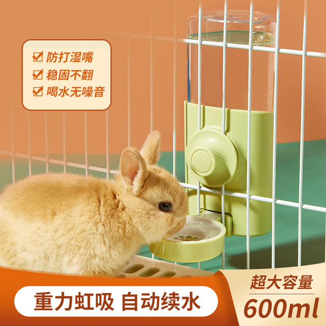 Rabbit Kettle Drinking Fountain Dutch Pig Chinchilla Hedgehog Water Feeding Silent Large Capacity Supplies Automatic Water Refill 600ML