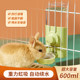 Rabbit Kettle Drinking Fountain Dutch Pig Chinchilla Hedgehog Water Feeding Silent Large Capacity Supplies Automatic Water Refill 600ML