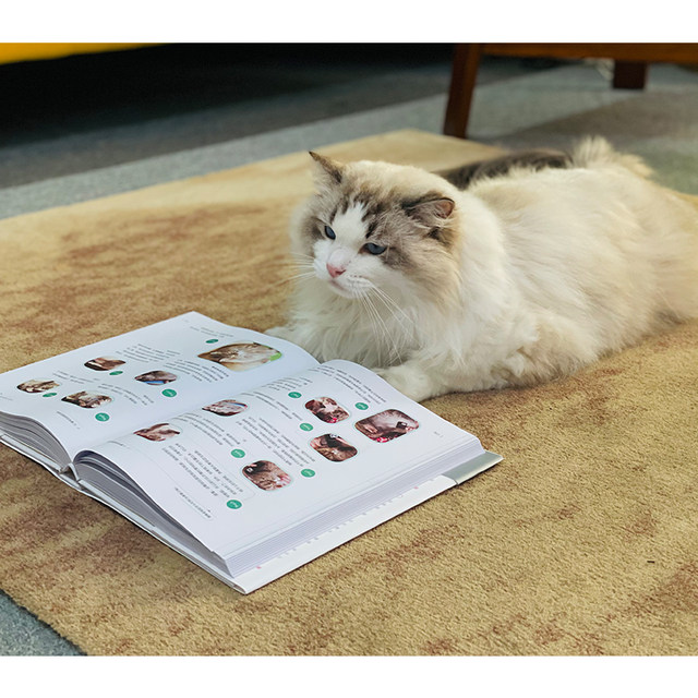 Cat Family Medicine Encyclopedia new revised version of cat basic ...