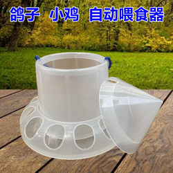 Transparent Chicken Feeder Automatic Food Dispenser Chicken Feed Dispenser Anti-Spill Feeder Quail Feed Bucket Pigeon Food Box Feeder