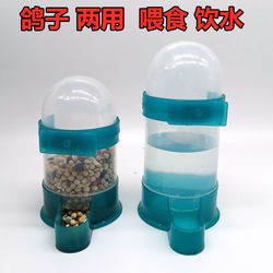 Pigeon Waterer, Feeder, Bird Trough, Water Box, Quail Automatic Waterer, Feeder, Water Bottle