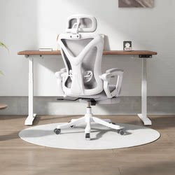 Computer Chair, Breathable, Waist-Supporting, Comfortable for Long Sitting, Ergonomic Chair, Home Gaming Chair, Comfortable Backrest, Office Chair