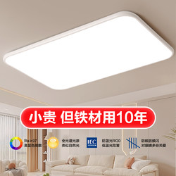 Living Room Ceiling Light 2025 New Ultra-Thin Led Master Bedroom Corridor Hallway Balcony Dining Room Super Bright Main Hall Light