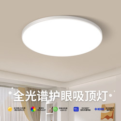 Living Room Ceiling Lamp with High Color Rendering, Simple, Modern and Elegant, 2025 New Model Lighting Fixture, Full Spectrum Eye Protection Main Light for the Hall