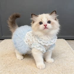 Cat Skirt Spring and Summer Thin Floral Skirt Princess Style Small Dog Bichon Teddy Pomeranian Pet Clothes Tutu Skirt