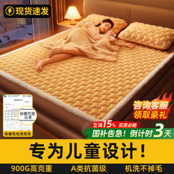 Class a Mattress Pad Milk Velvet Mattress Soft Cushion Home Use Mattress Cover Children's Winter Thickened Fleece Blanket Mattress Pad