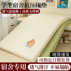 Anti-Pressure and Anti-Collapse Mattress Bedroom Sleeping Pad Single Mattress Tatami Mat College Dormitory Soft Mattress Pad
