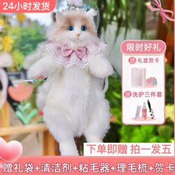 Simulated Ragdoll Cat Backpack Plush Doll Kitten Backpack Toy Doll Gift for Girlfriend