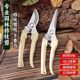 Gardening shears, pruning shears, flower shears, garden scissors, floral shears, branches, fruit tree scissors, branch shears, flower shears.