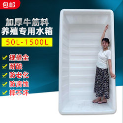 Thickened Beef Tendon Plastic Water Tank Rectangular Box for Aquaculture, Fish Selling Basket, Storage Tank, Turnover Box, Large Bucket