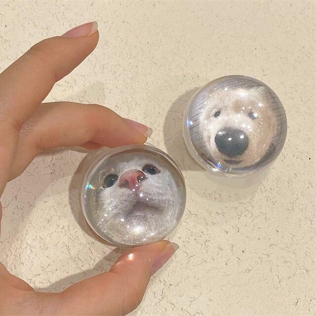 Cat Crystal Ball Basin Smedy Smedy Smedy Korean INS Same Lazy Desktop Passenger Paste Transparent Phone Book
