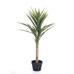 Tropical desert plant simulation gladioli plate green plant Nordic simulation sisal iron tree plant large potted plant