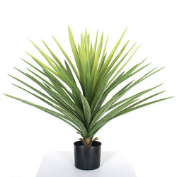 Simulation of tropical desert plants gladiolus green plant plate plant Nordic simulation of sisal iron tree plant large potted plant