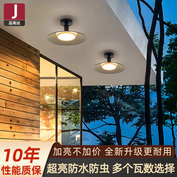Outdoor Ceiling Light Waterproof for Hallway, Corridor, Courtyard, Outdoor Sunroom, Eaves, New Balcony-Specific Ceiling Light