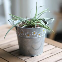 Makeup Brush Storage Pen Holder Healing Cute Zakka Balcony Sundries Decoration Tin Bucket Vintage Garden Distressed Style