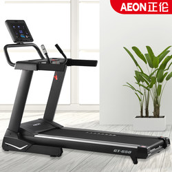 Zhenglun Gt-650 Light Commercial Electric Incline Treadmill, Silent Fitness Equipment